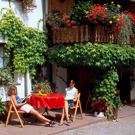 Landpension Risch Ilmenau Εξωτερικό φωτογραφία